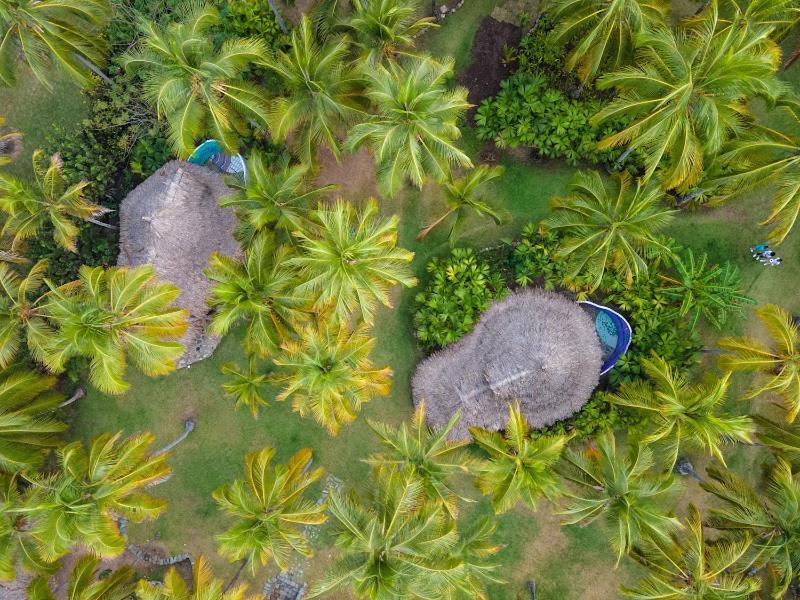 Hotel Casalina Palomino Eksteriør bilde