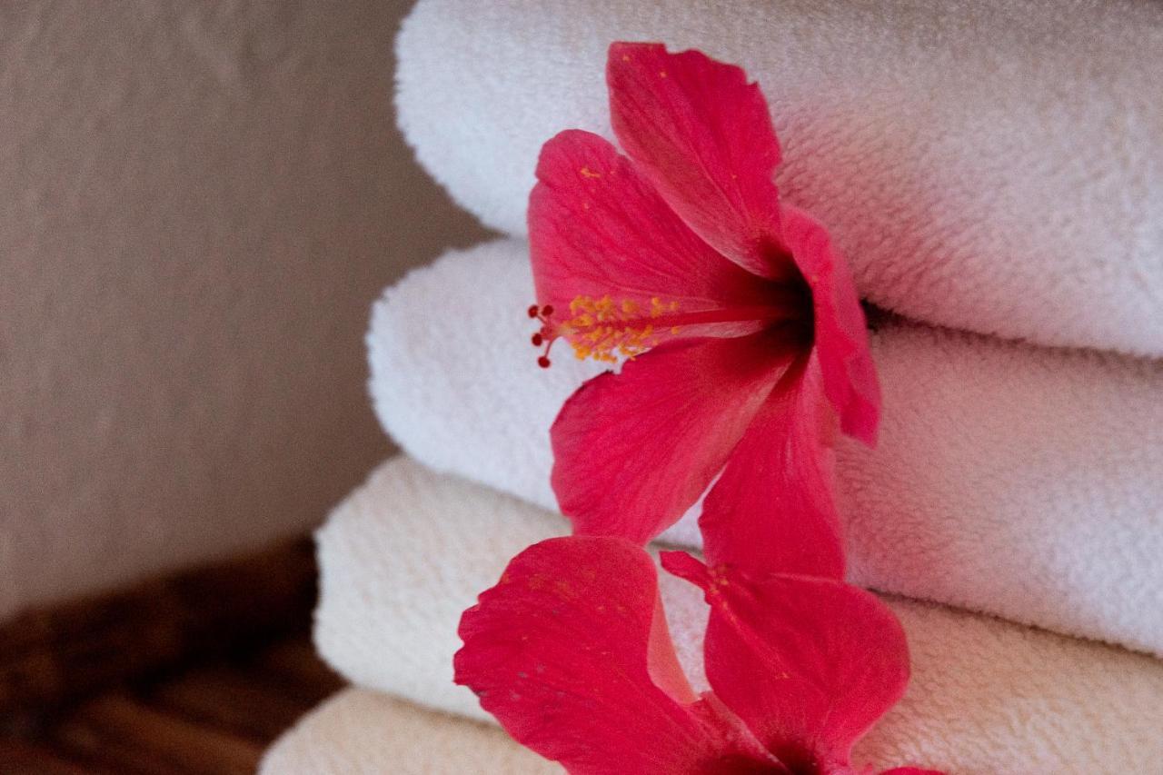 Hotel Casalina Palomino Eksteriør bilde