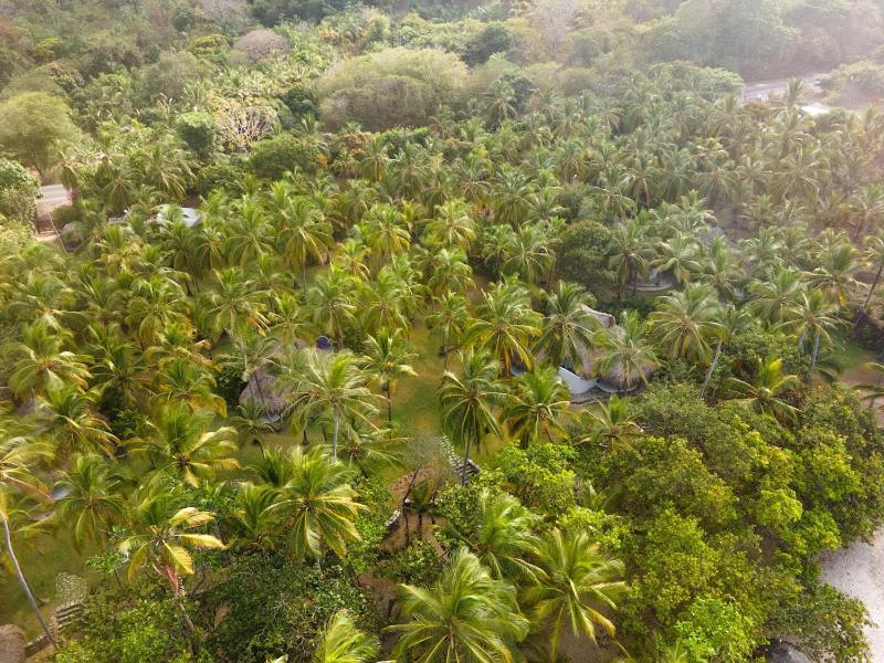 Hotel Casalina Palomino Eksteriør bilde