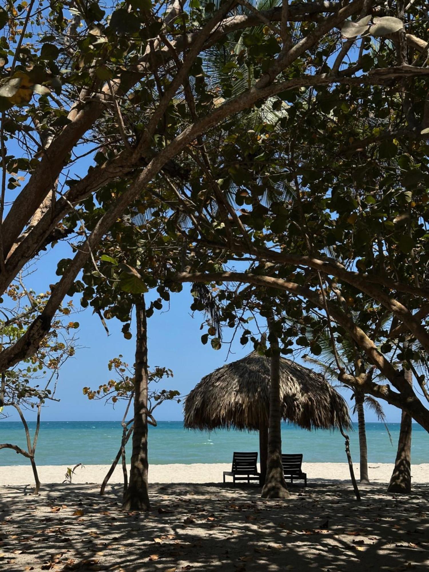 Hotel Casalina Palomino Eksteriør bilde