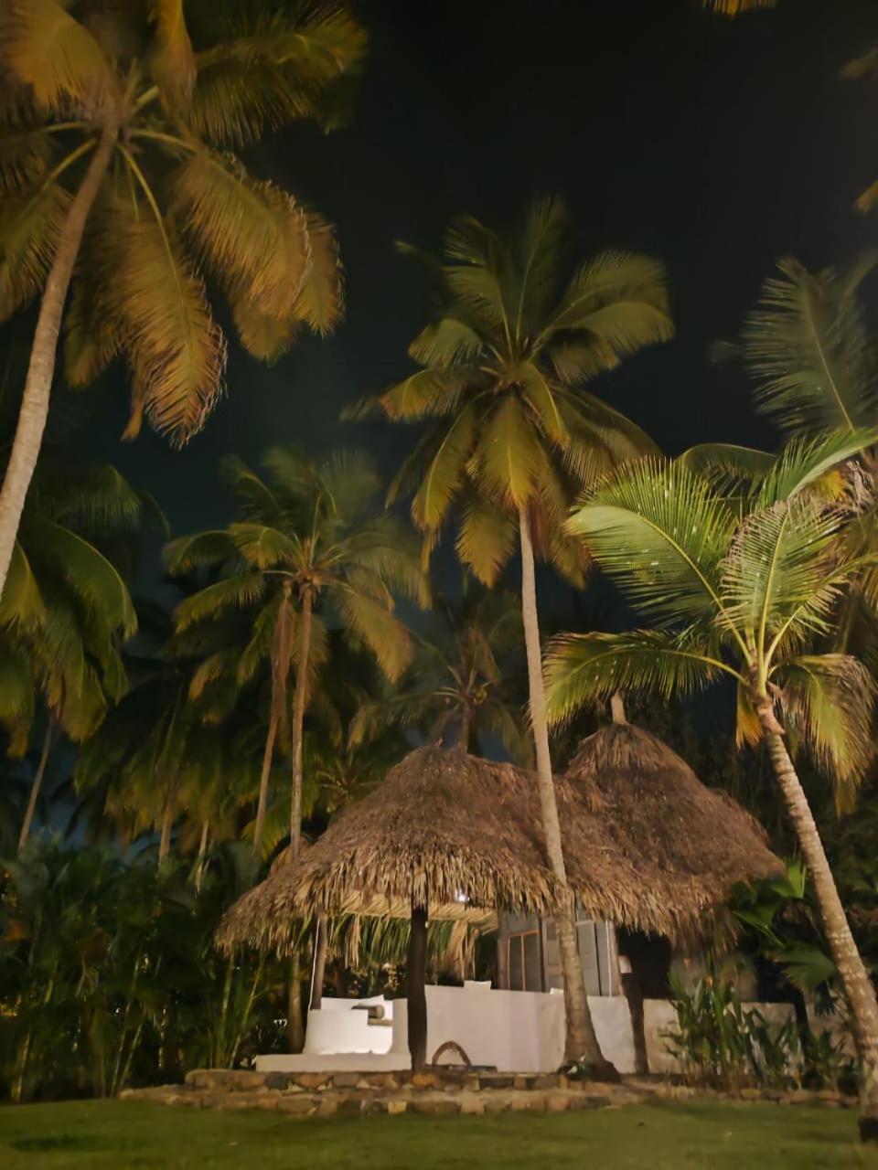Hotel Casalina Palomino Eksteriør bilde